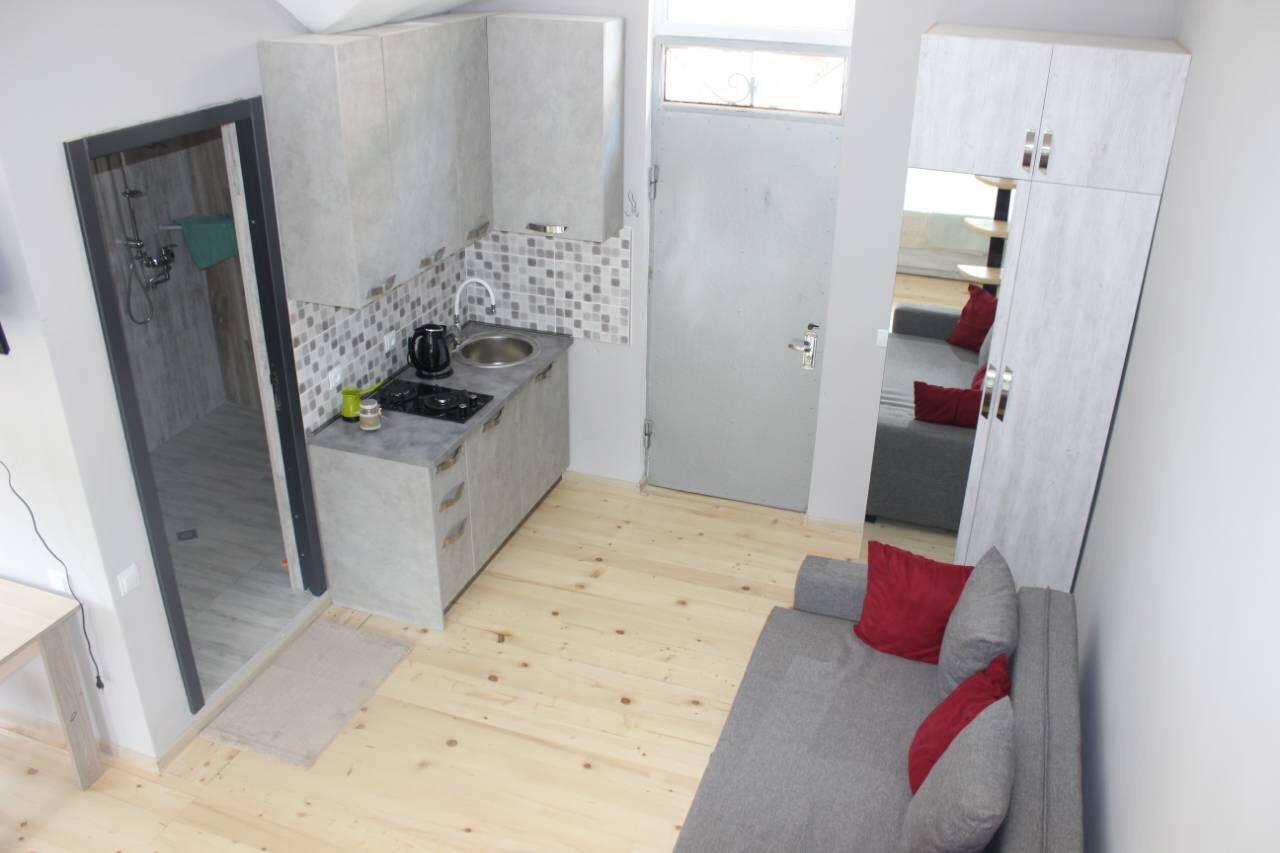 Diasamidzeebi Apartment بورجومي المظهر الخارجي الصورة