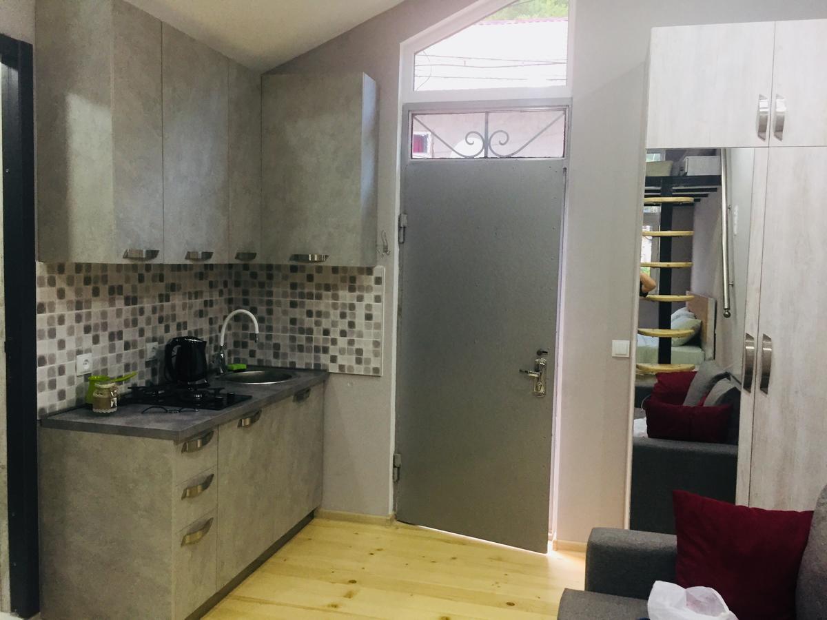 Diasamidzeebi Apartment بورجومي المظهر الخارجي الصورة