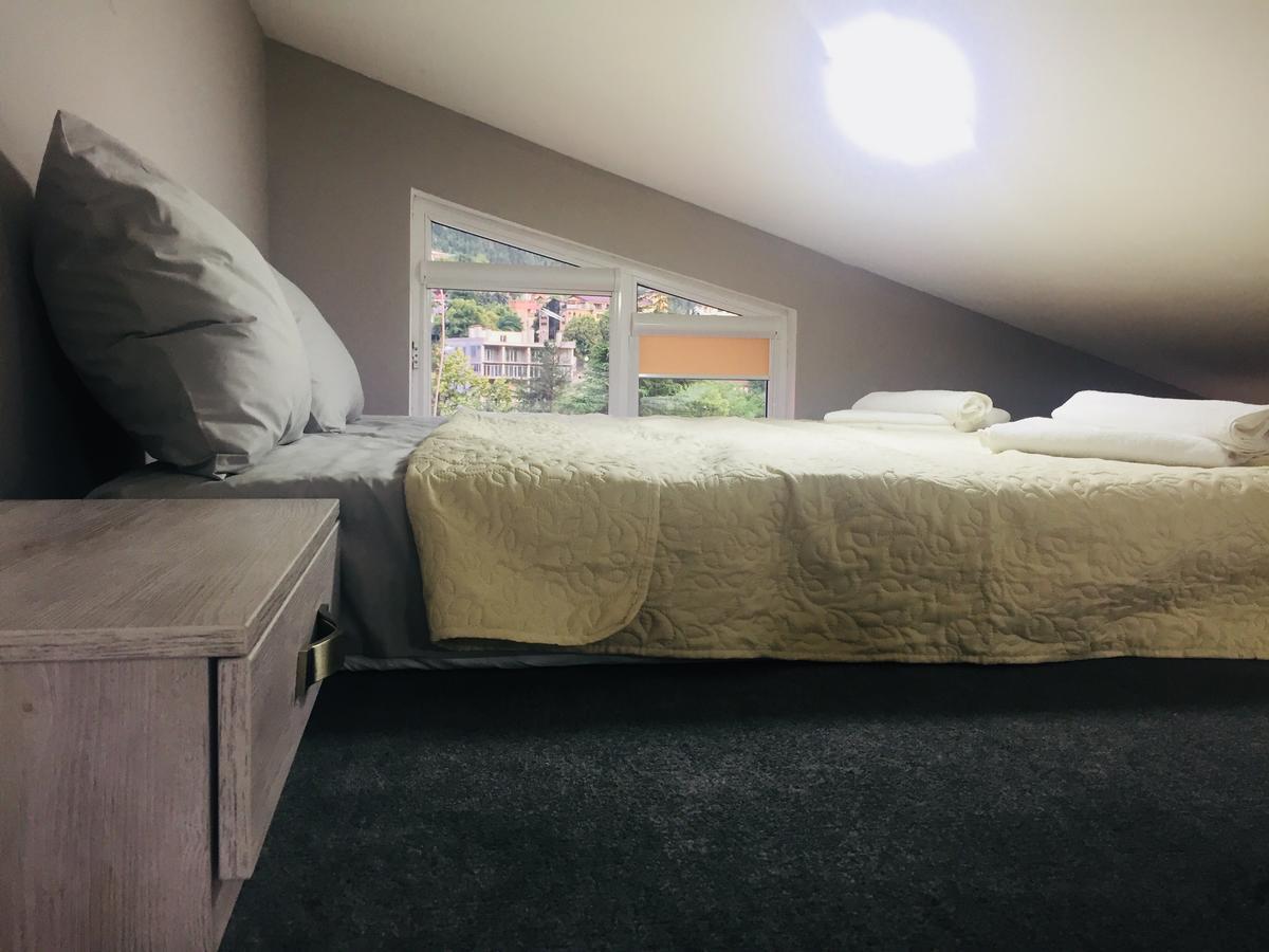 Diasamidzeebi Apartment بورجومي المظهر الخارجي الصورة